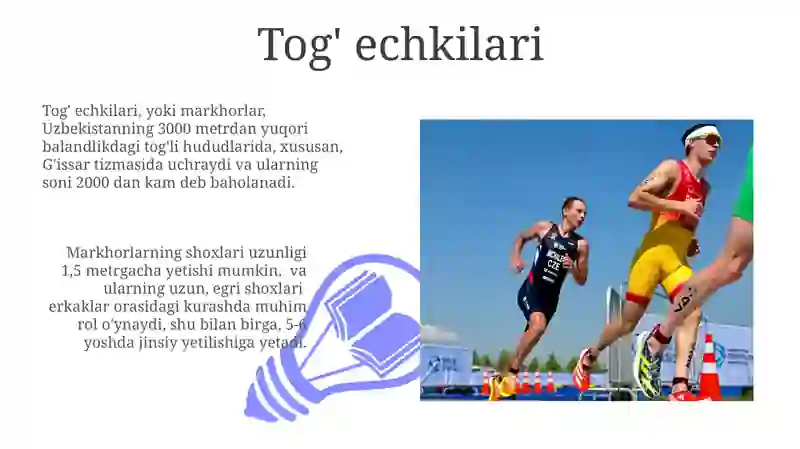 Sut emizuvchilar 3