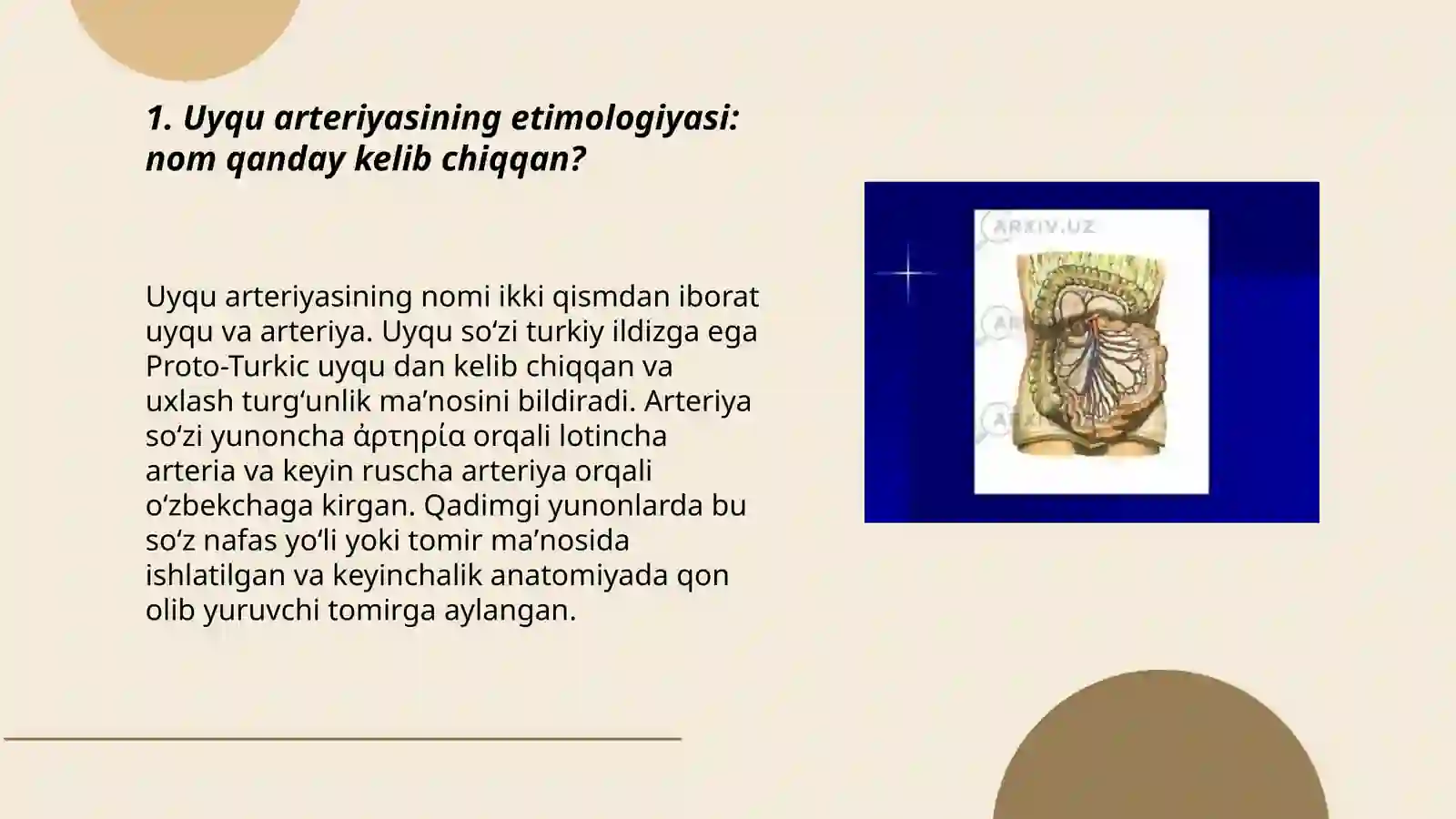 Uyqu arteriyasi 3