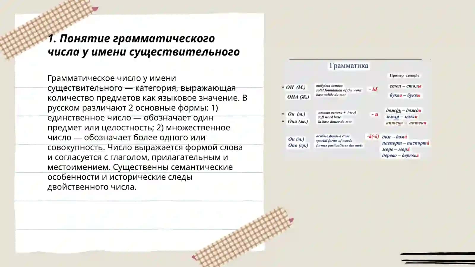 Число имен существительных. Форма числа в русском языке 3