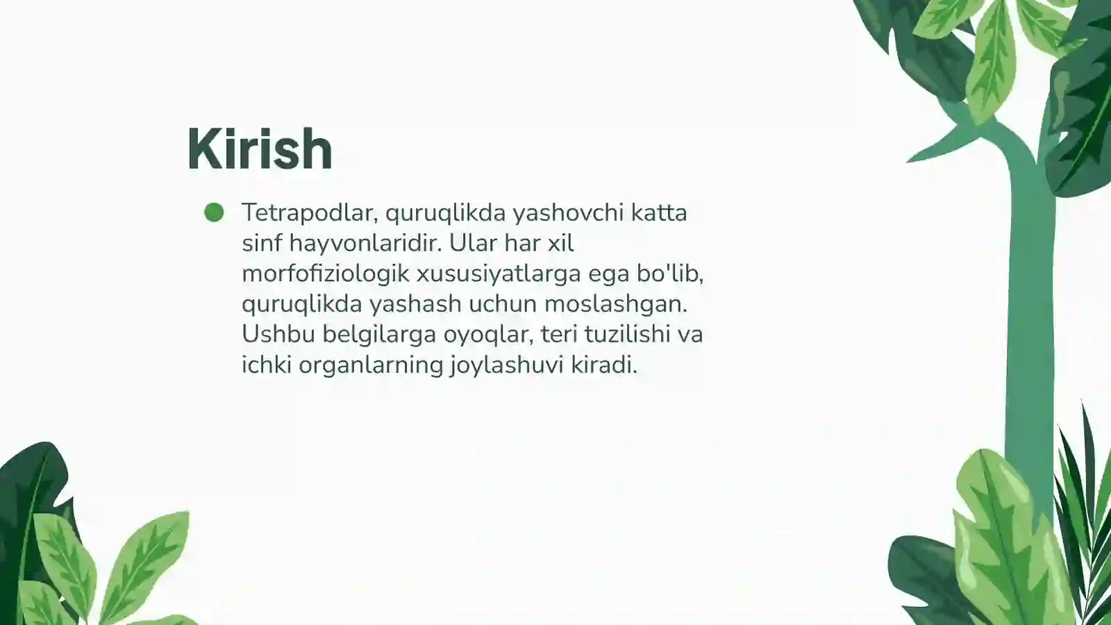 Tetrapoda Katta Sinfiga Mansub Hayvonlarning Quruqlikda Yashashini Taminlovchi Morfofiziologik Belgi va Xususiyatlar 3