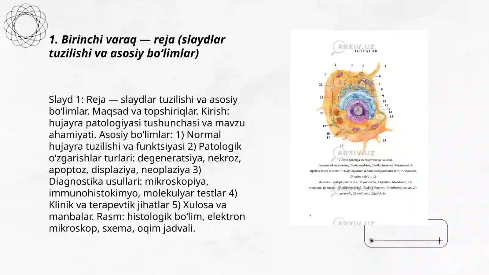 Hujayra patologiyasi va uning turlari 3