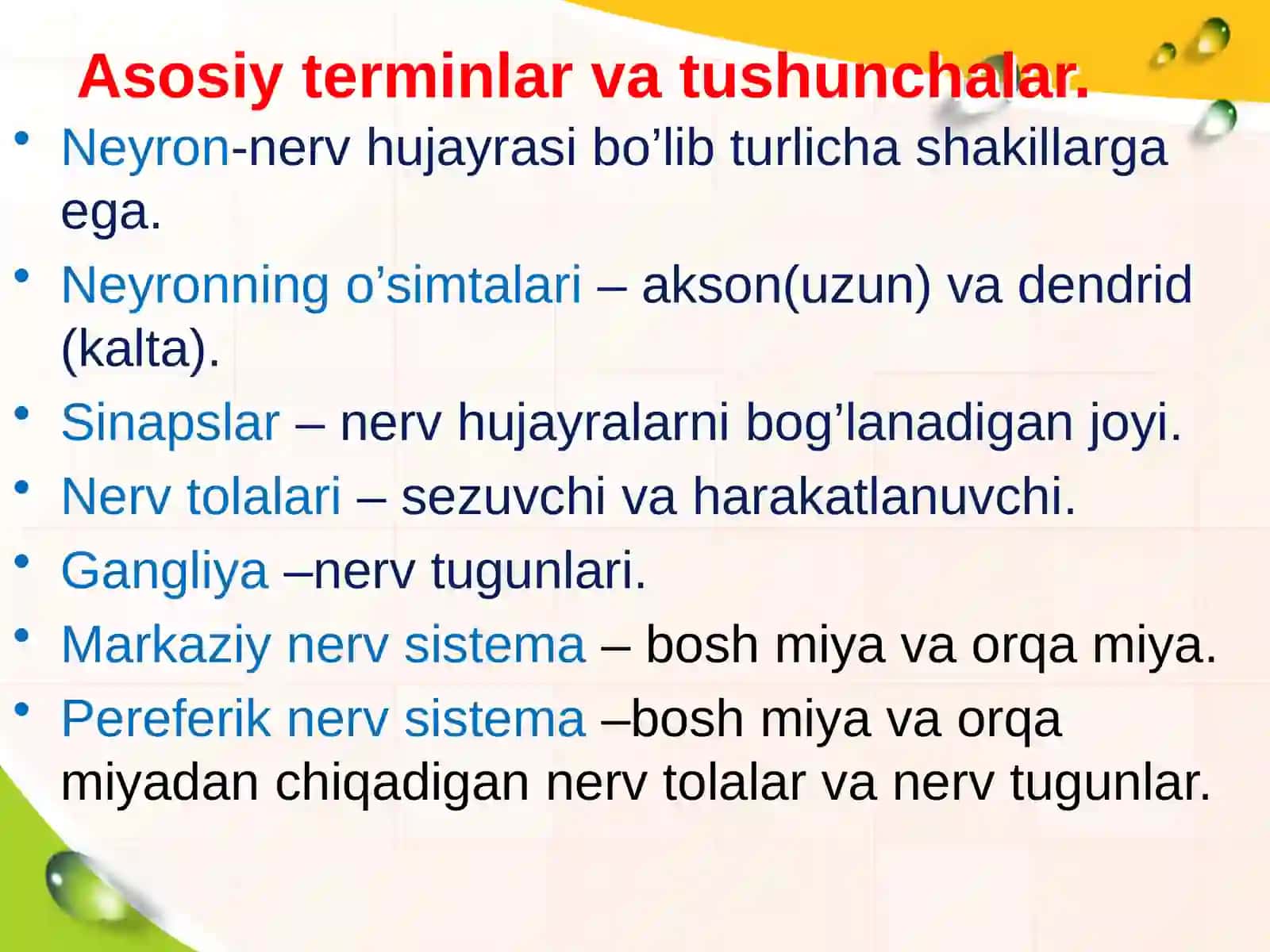 Vegetativ nerv sistemasi va uning turlari 3