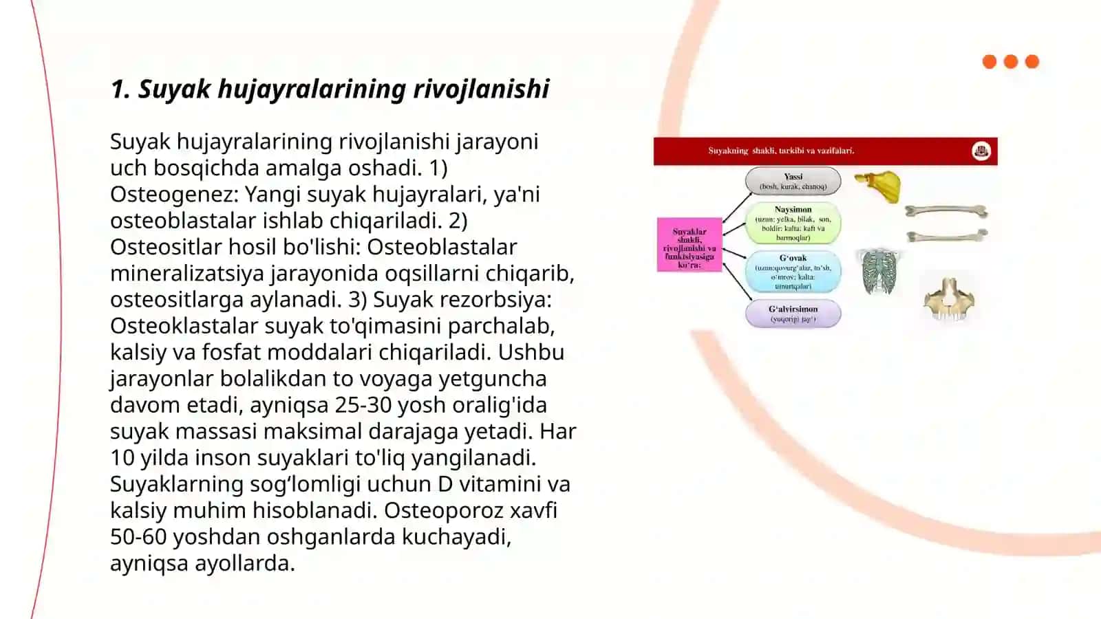Suyak hujayralarining o'sishi va tasir etishiga omillar 3