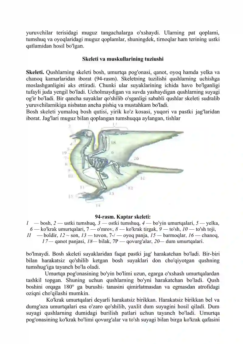Qushlar sinfi 3