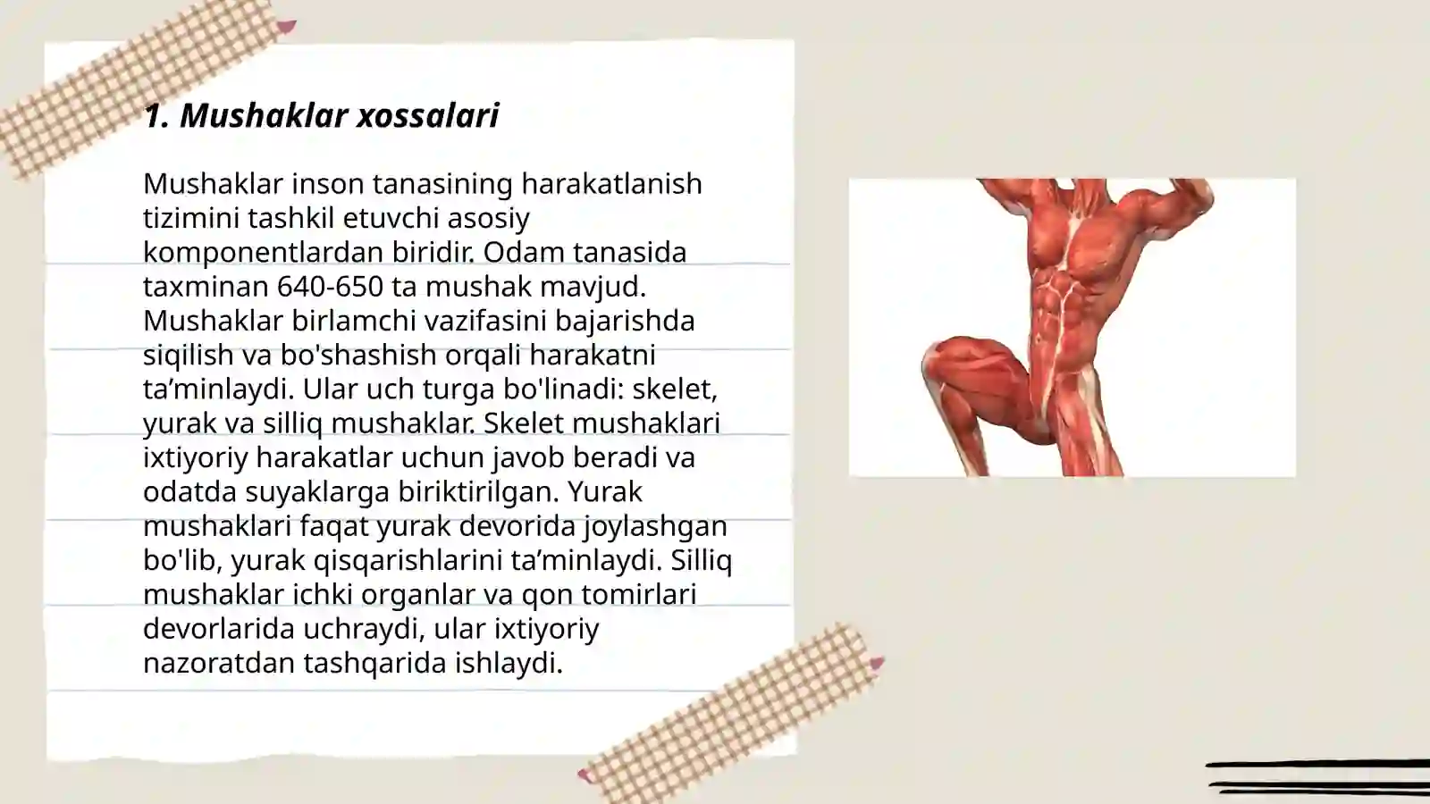 Mushaklar xossalari 3