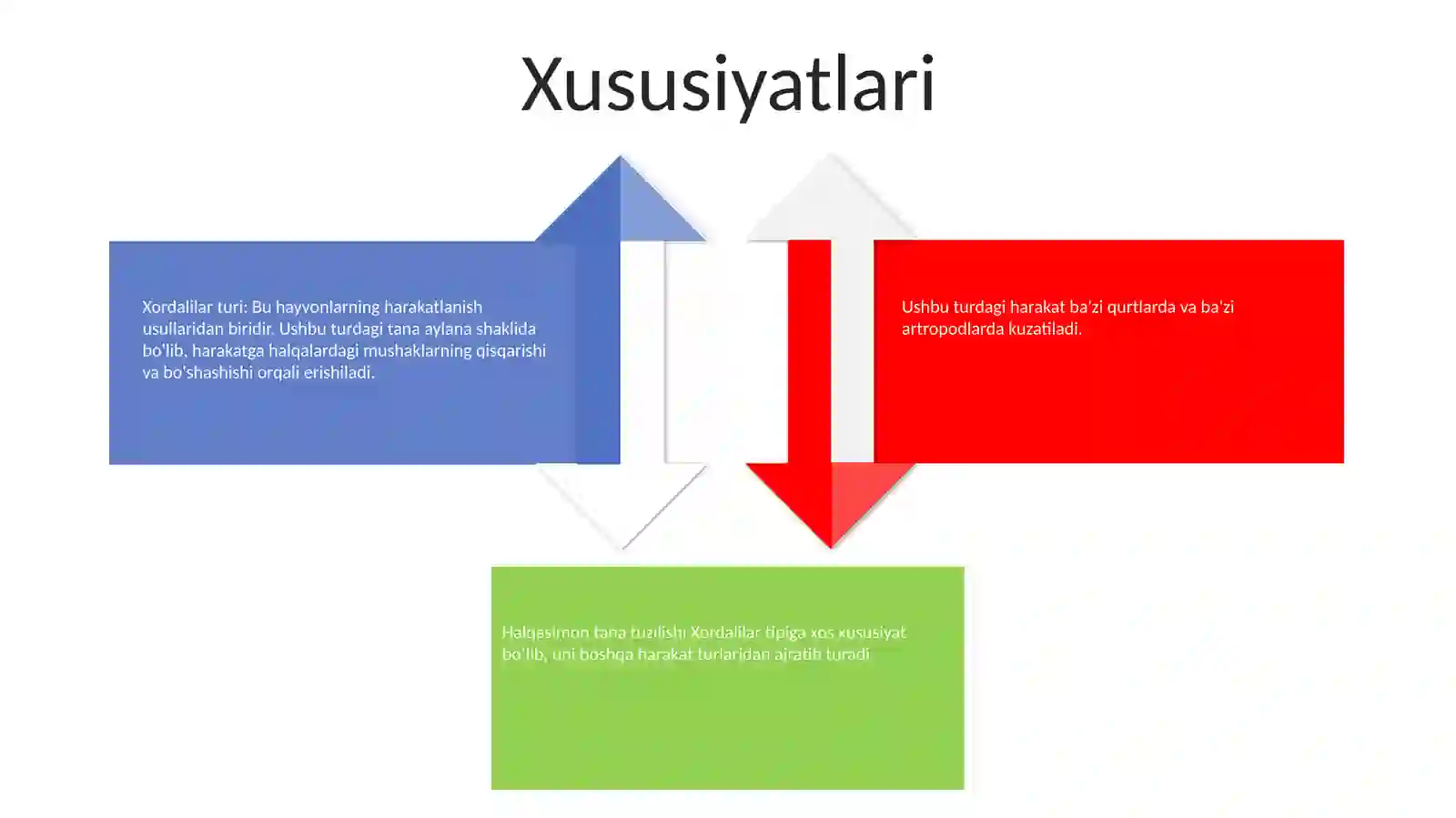 Xordalilar Tipi 3