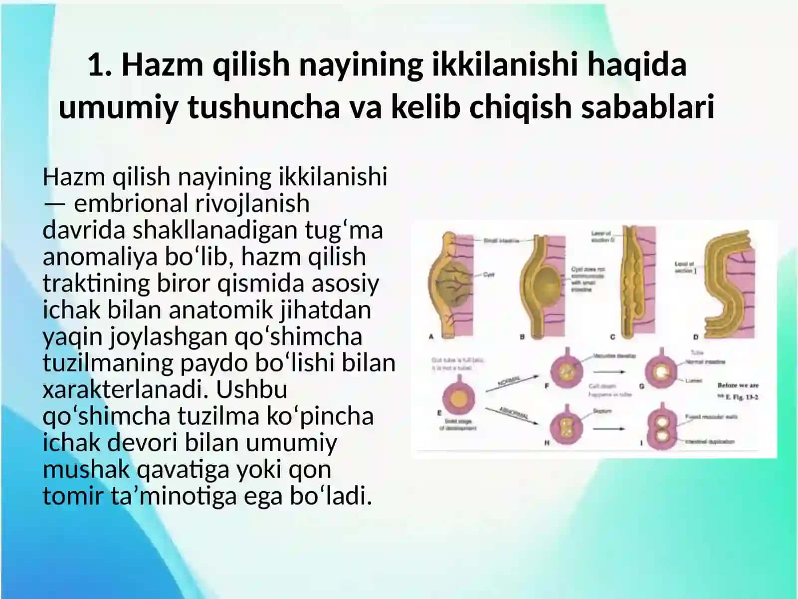 Hazm qilish nayining ikkilanishi 3