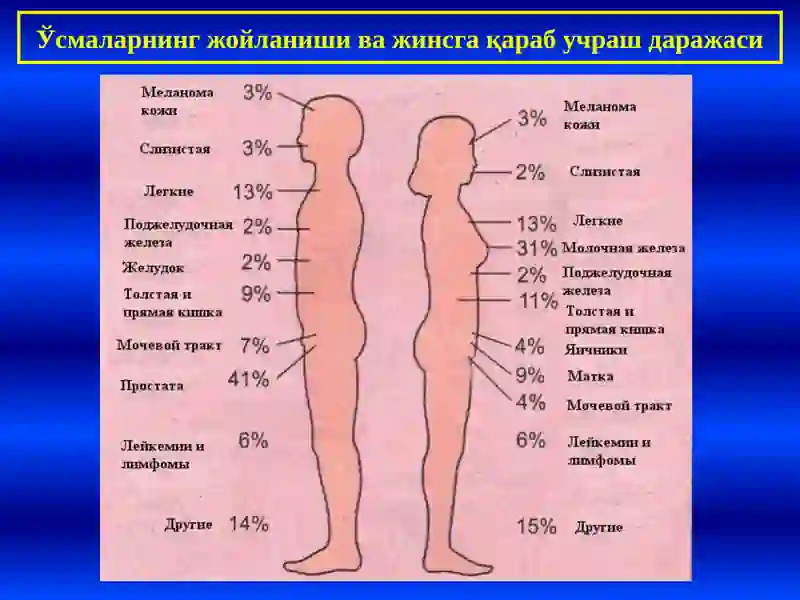 ЎСМАЛАР 3