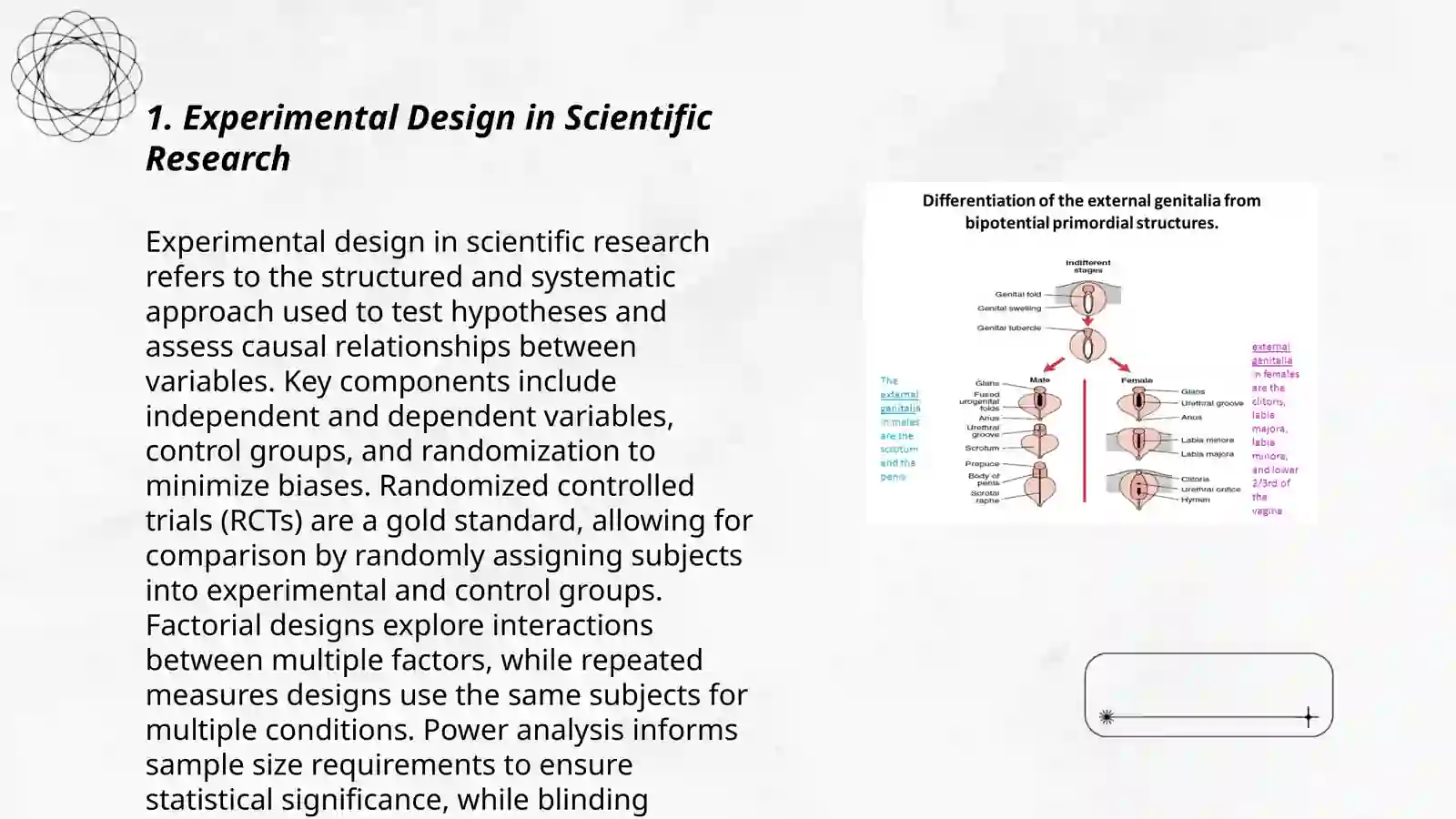 SCIENTIFIC RESEARCH WORK.MAIN FEATURE,FUNCTIONS,TYPES OF SCIENTIFIC METHODS 3