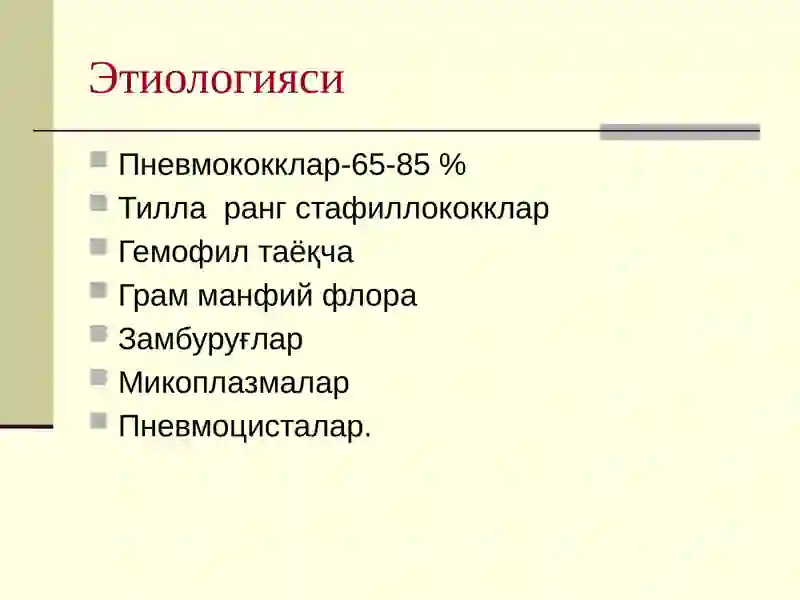 Пневмония 3