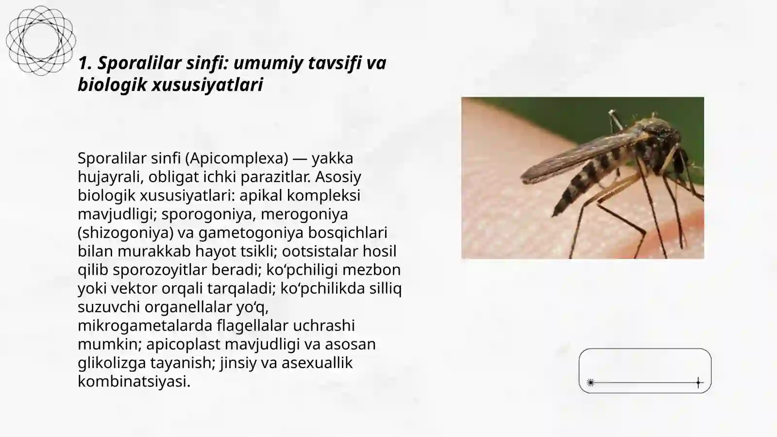 Sporalilar – bezgak plazmodiysi. Toksoplazma. Odam ichak parazitlari: dizenteriya amyobasi, balantidiy 3