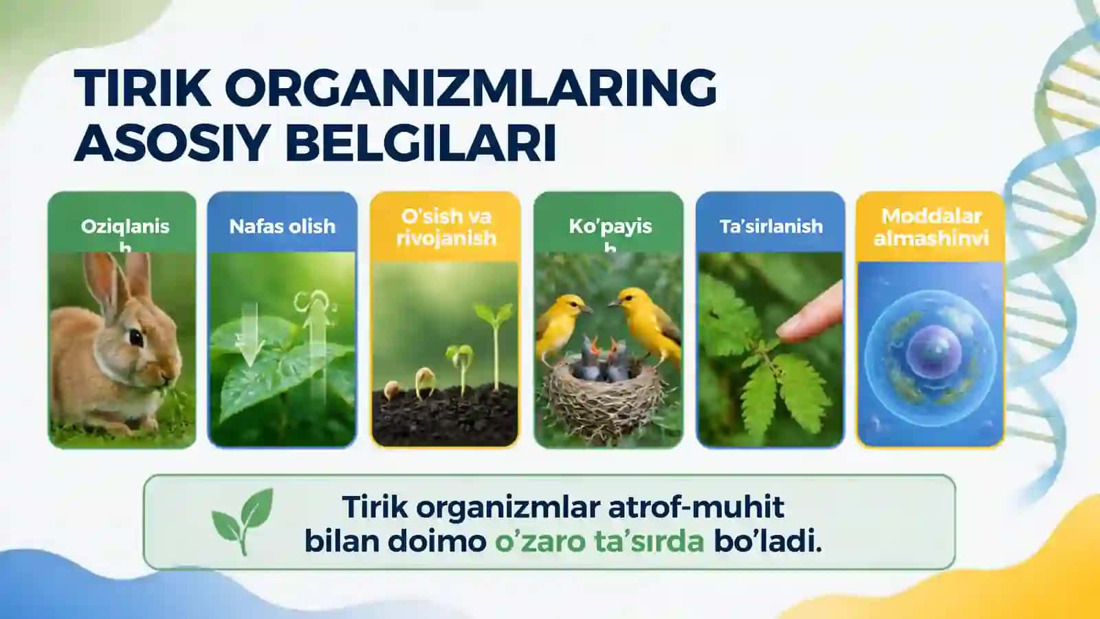 biologiya taqdimot 3