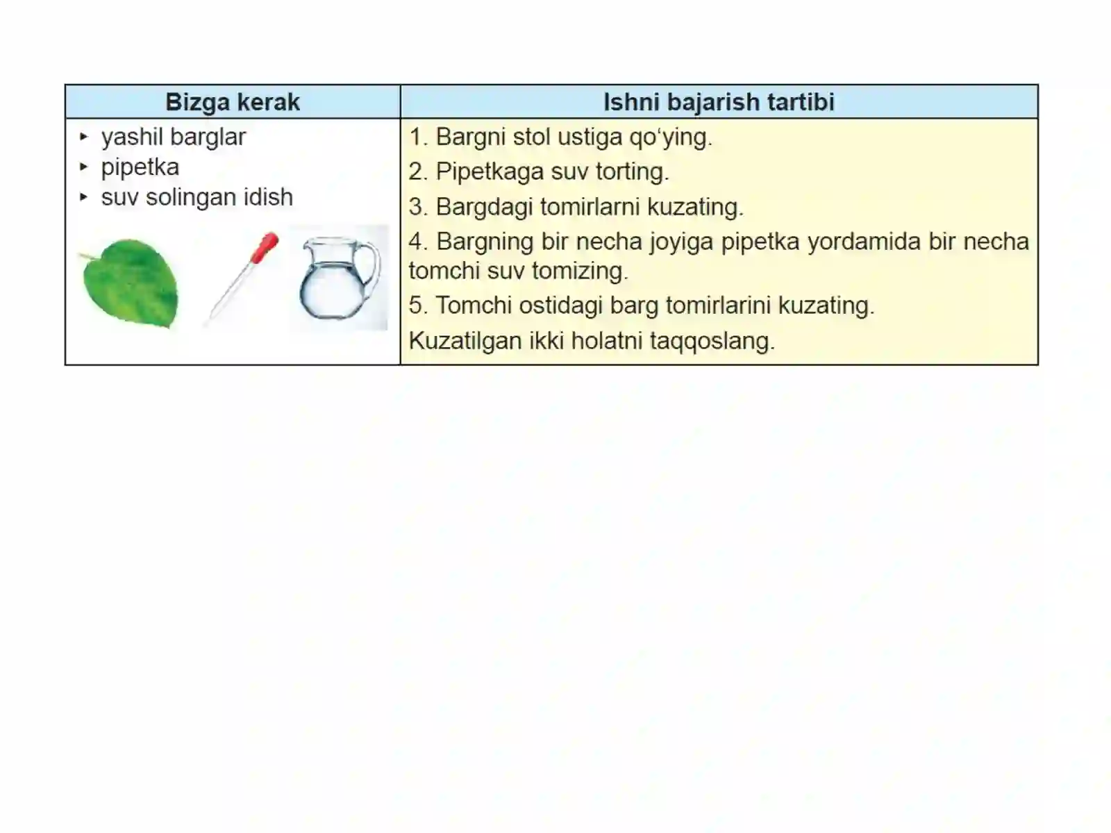 LINZALAR 3