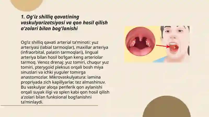 Qon hosil qilish a'zolari bilan og'iz bo'shlig'i shilliq qavatining bog'liqligi 3