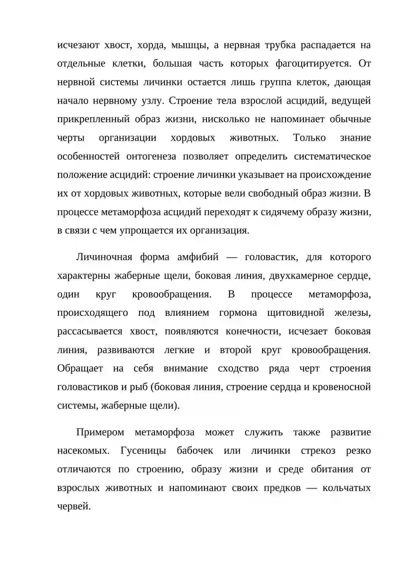 Постэмбриональный период развития 3
