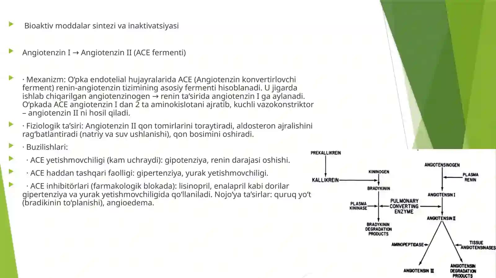 Oʻpkaning metabolik funksiyalari va ularning buzilishlari 3
