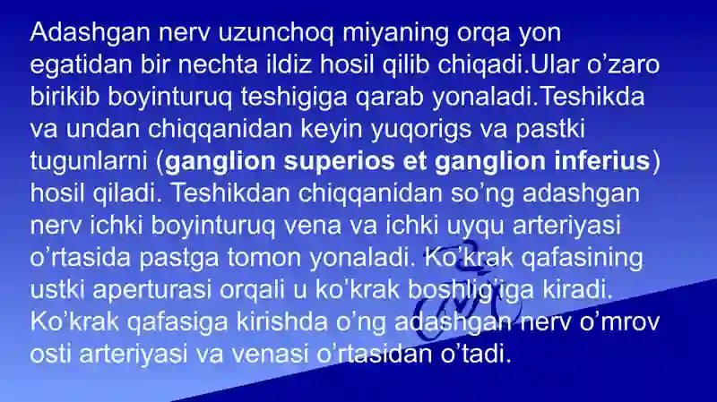 Adashgan nerv 3