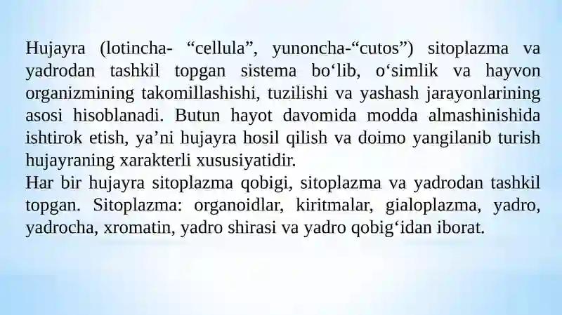 Preview 3
