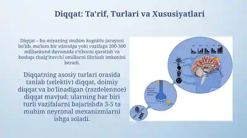 Diqqat haqida tushuncha va uning nerv fiziologik asosi 3
