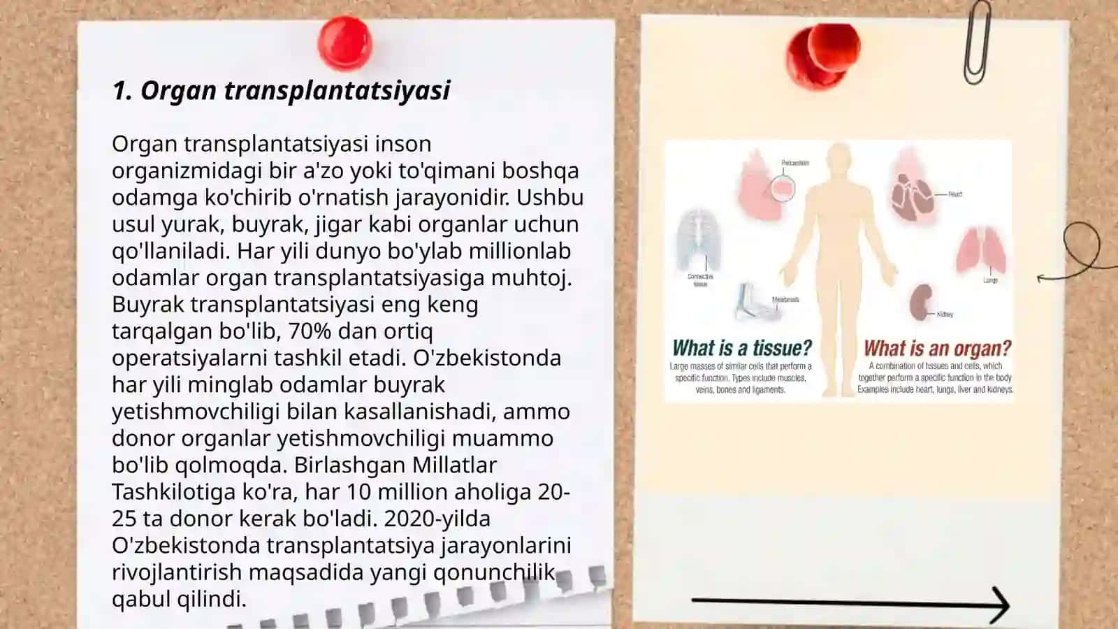 Organ va toʻqimalarini kemalarini tayyorlash 3