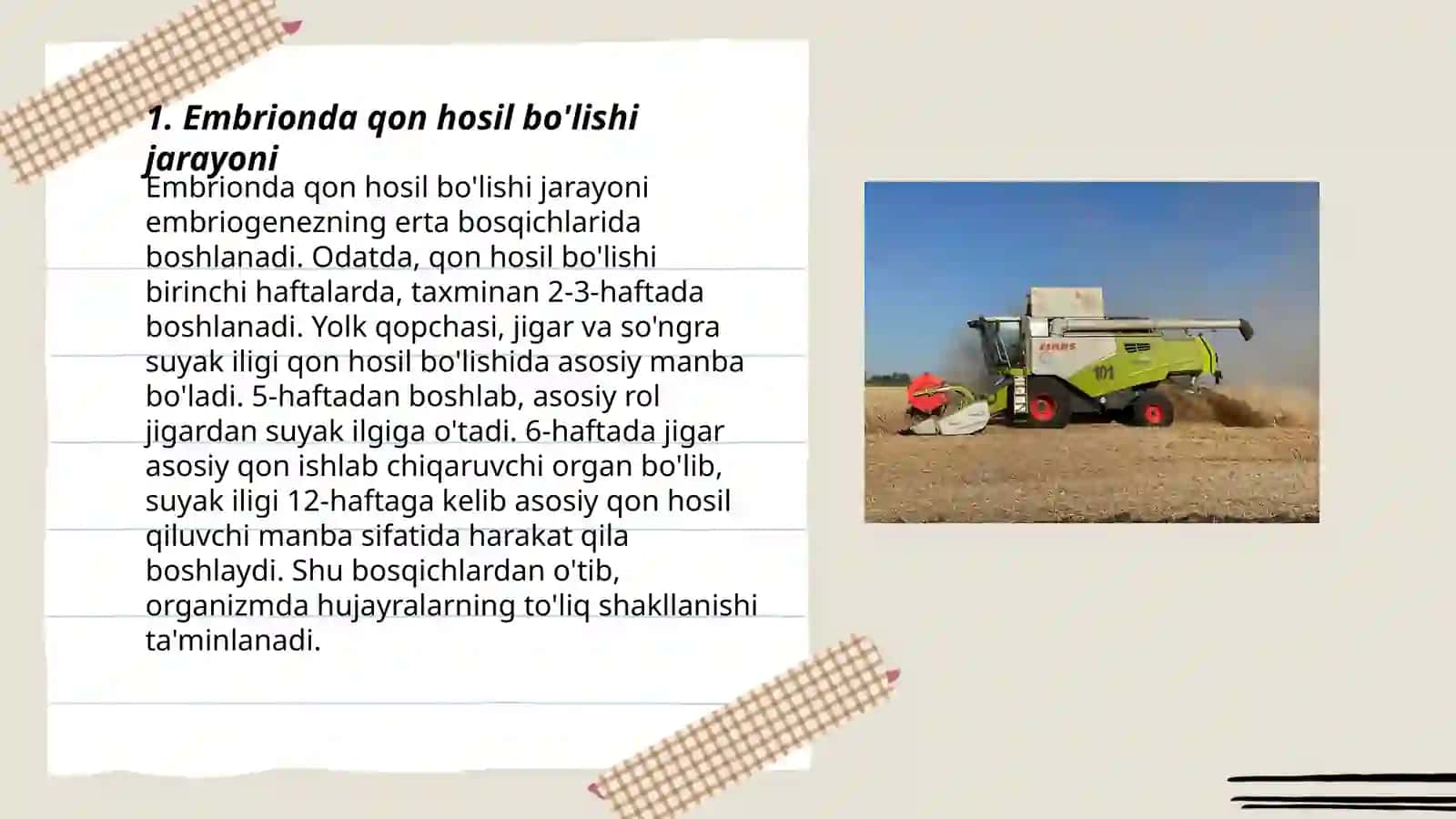 Embrionda qon hosil bõlishi 3