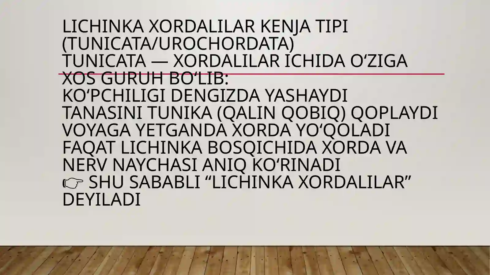 Xordalilartipi –chordata,lichinkaxordalilar–urochordataKenjatipiningsistematikasivafilogeniyasi 3