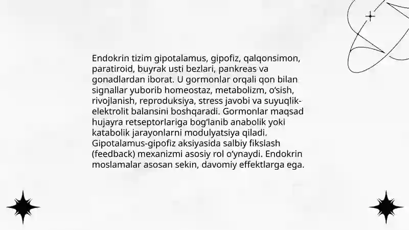 Endokrin tizimi 3