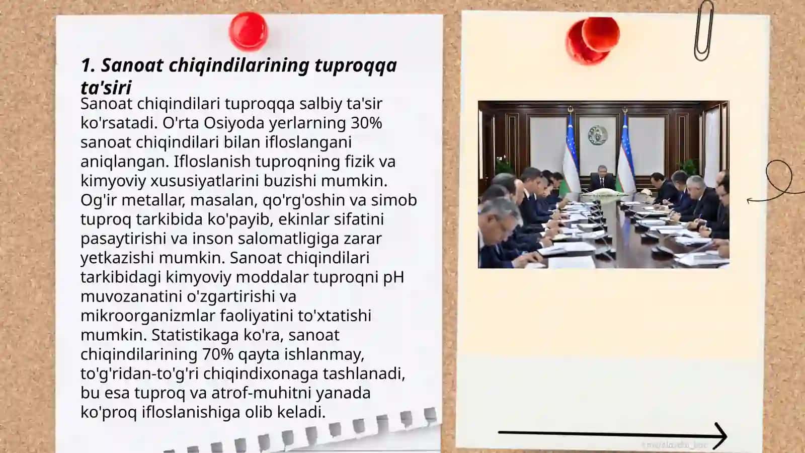O'zbekiston Respublikasi hududi tuproqlarining hozirgi ifloslanish holatini tahlil qilish 3