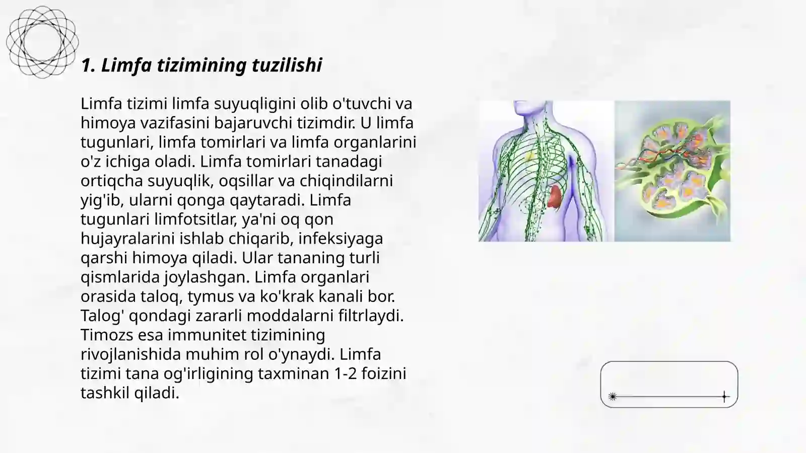 Limfa sistemasi 3