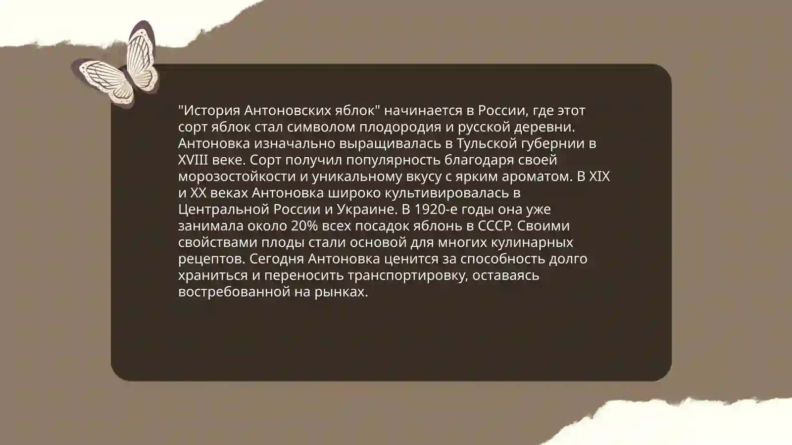 Антоновский яблоки 3