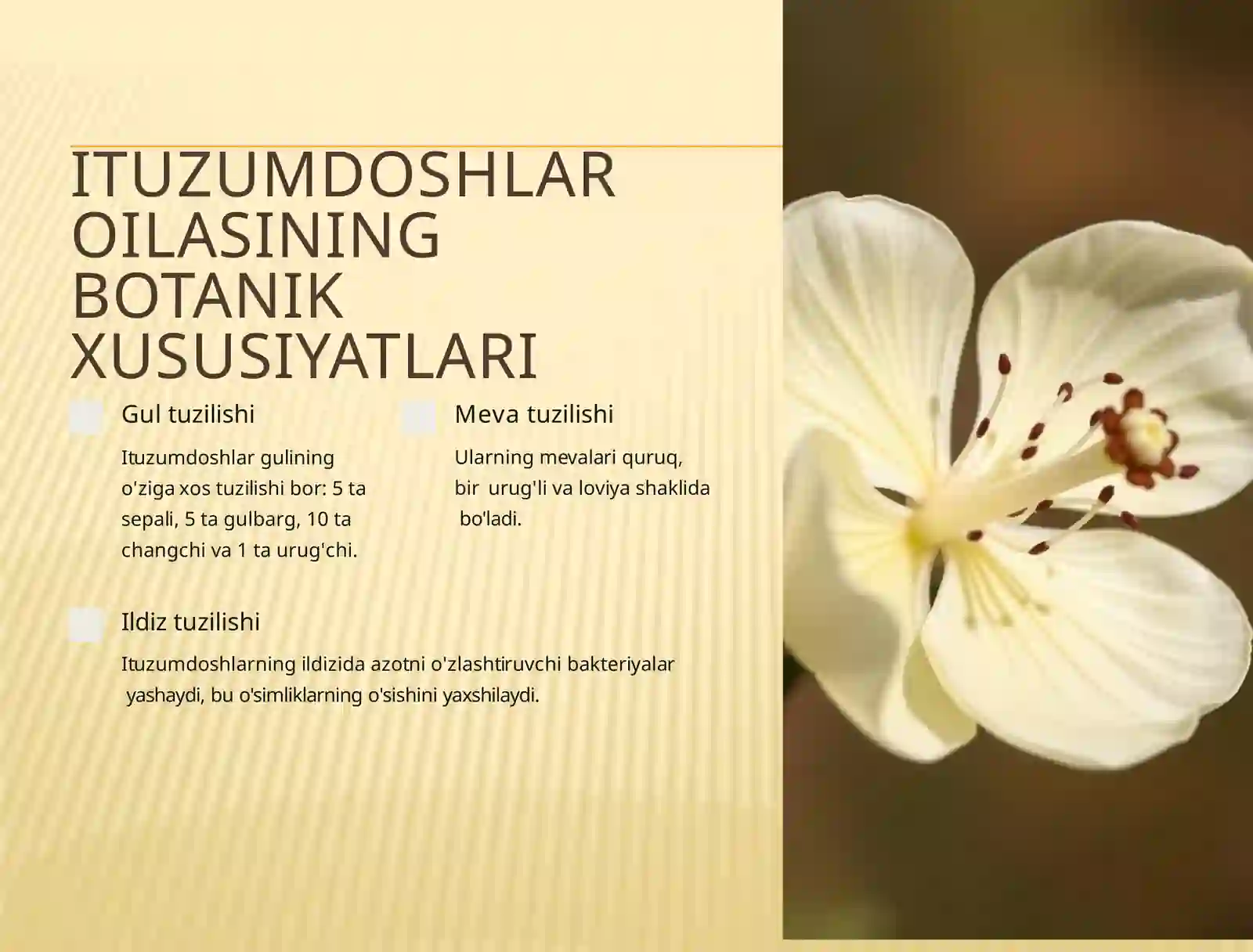 Ituzumdoshlar Oilasi: Biologiyasi, Ekologiyasi va Xalq Xo'jaligidagi Ahamiyati 3