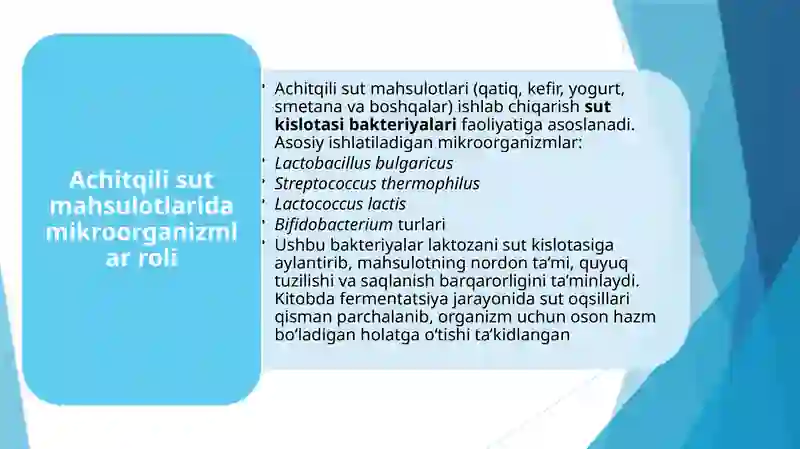 Achit qilisut mahsulotlari ishlab chiqarish texnologiyasi 3