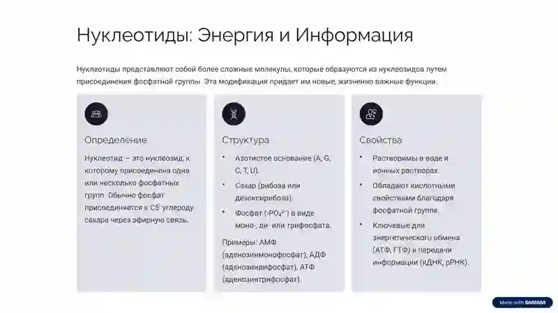 Нуклеозиды и Нуклеотиды: Основы Жизни 3