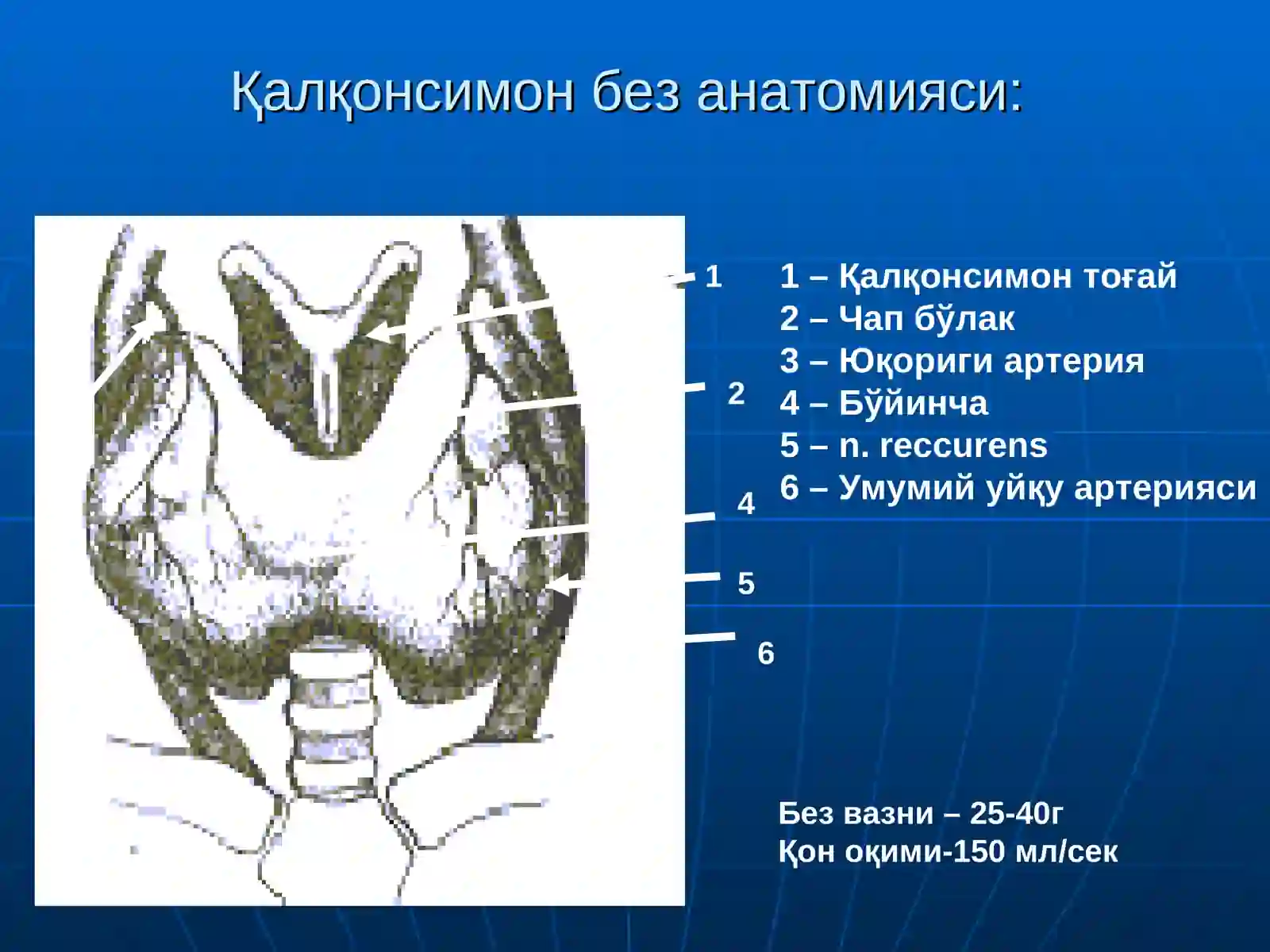 Қалқонсимон без касалликлари 3