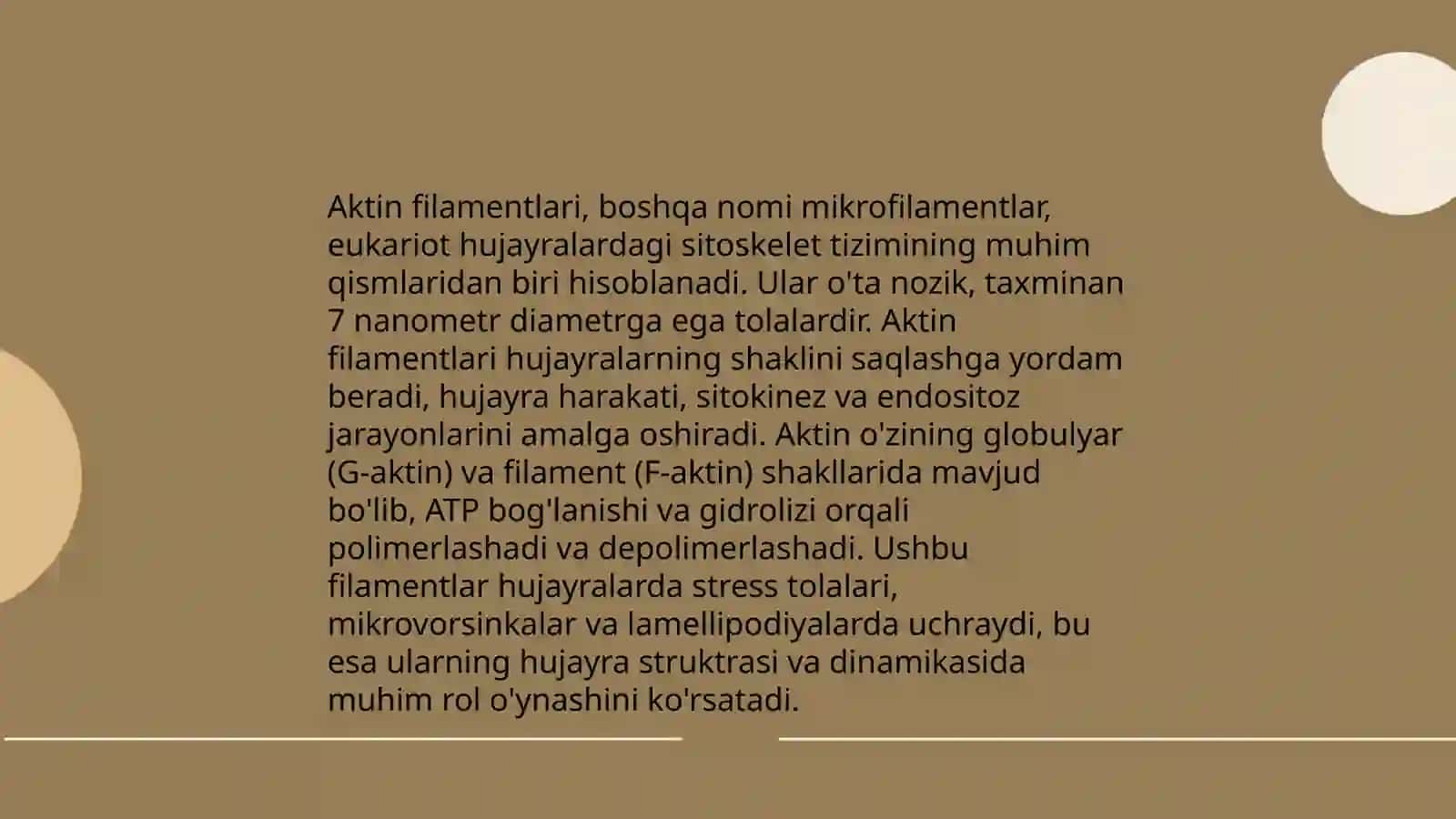 Aktin filamentlari 3