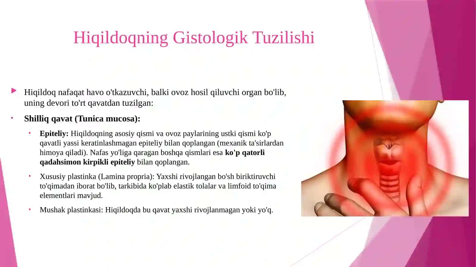 Hiqildoq traxeya gistologik tuzilishi 3