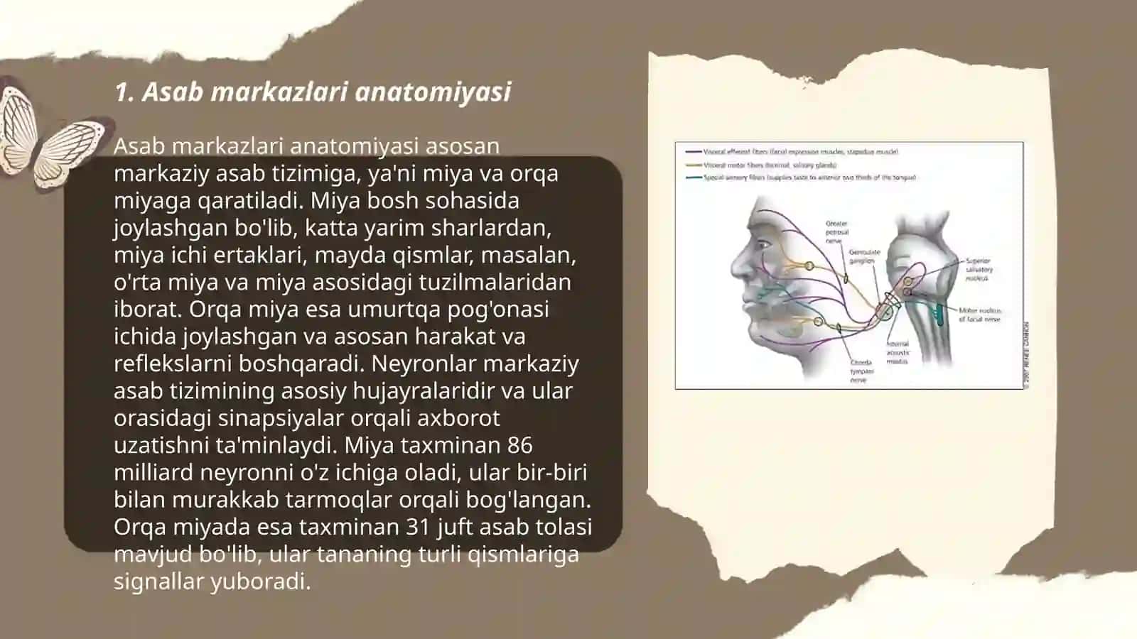 Asab markazlari xossalari 3