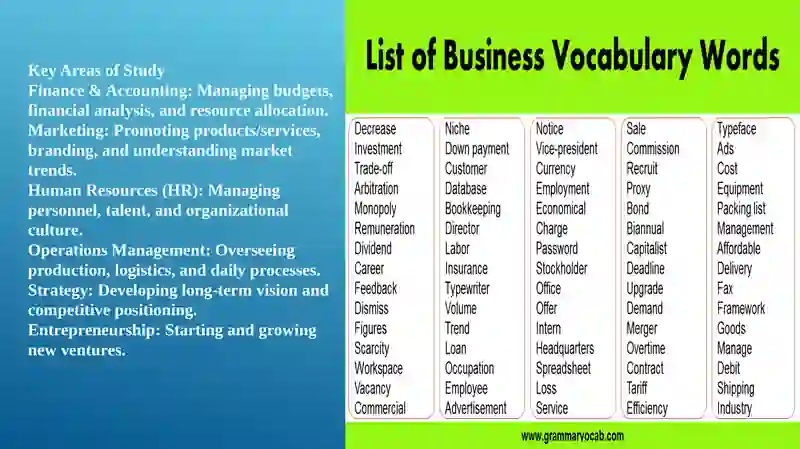 Business and Management 3