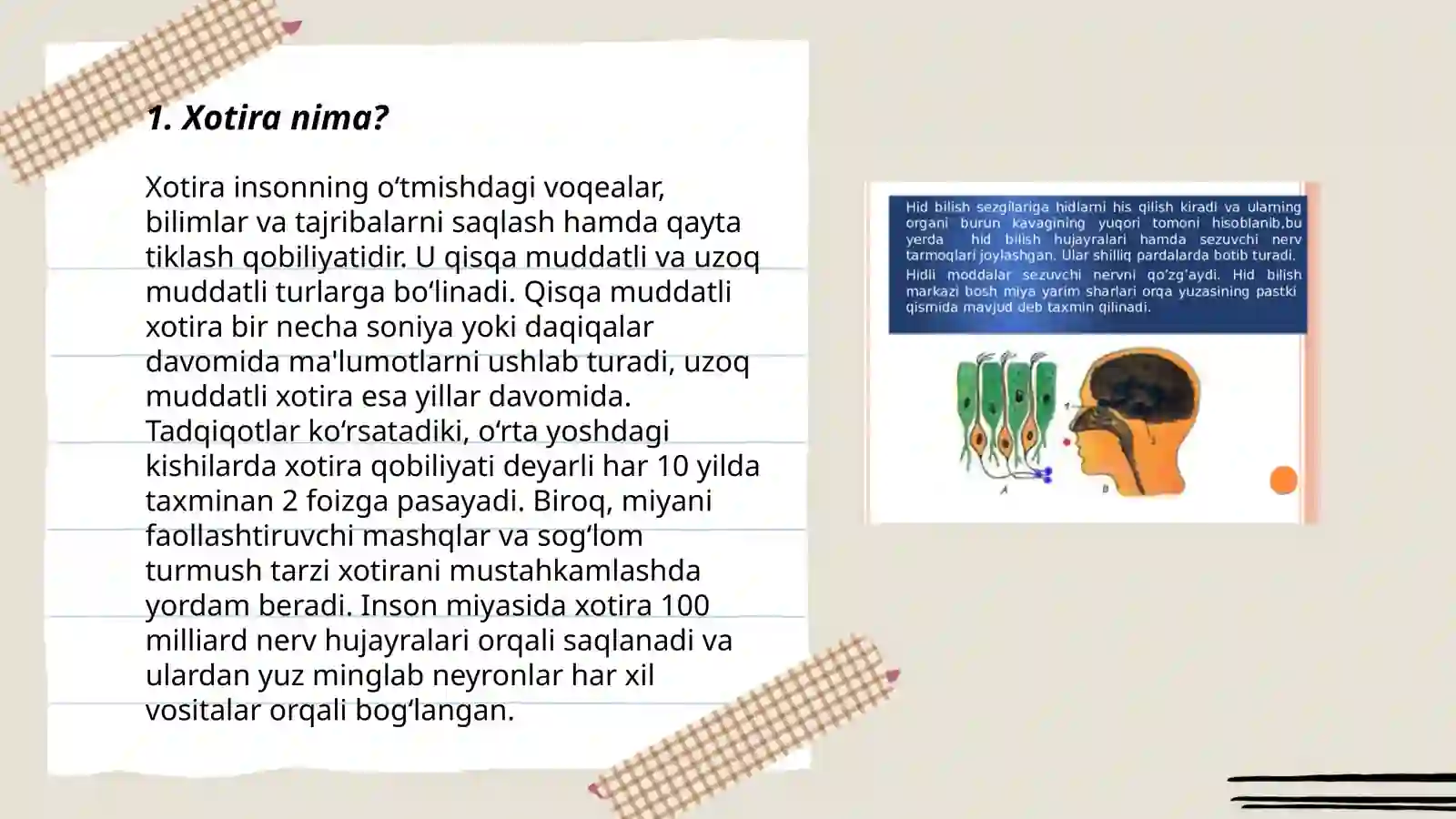 Xotira haqida tushuncha va uning nerv-fiziologik asosi 3