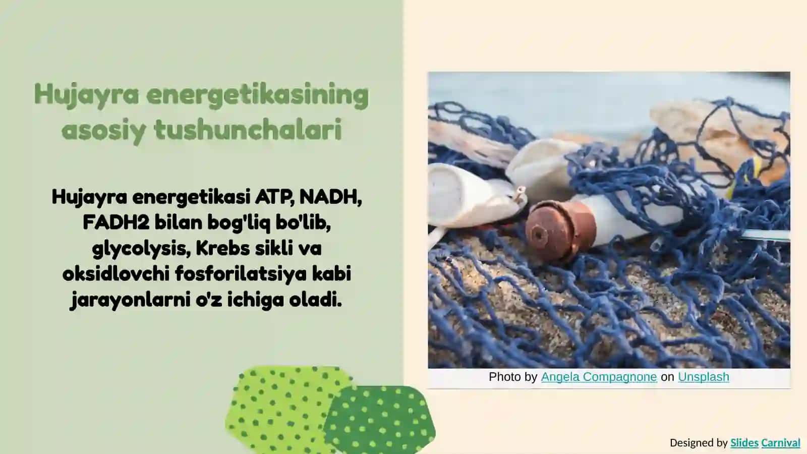 Hujayraning energetikasi haqida 3