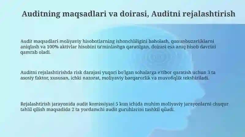 Pul mablag'lari harakati bilan bog'liq muammolar auditini tashkil etish va o'tkazish tartibi 3