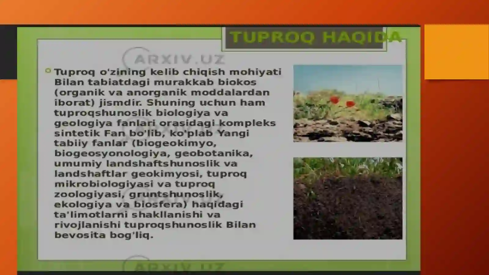 Mirzo Ulug‘bek nomidagi O‘zbekiston Milliy Universiteti, Biologiya Tuproq havosi 3