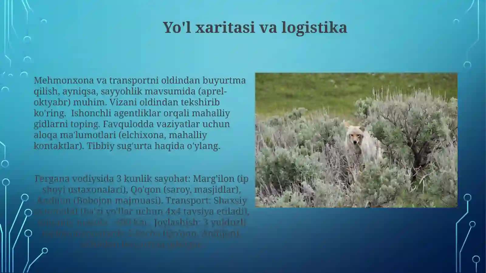 Farğona vodiysigeografik kurslarida ekskursiyalar 3