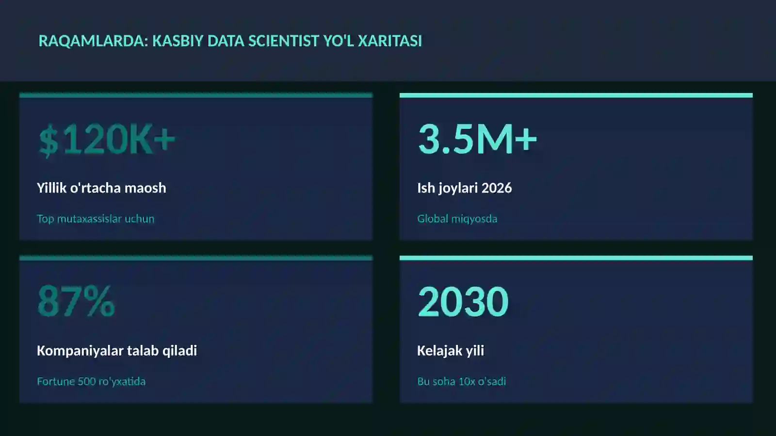 Kasbiy data scientist yo'l xaritasi 3