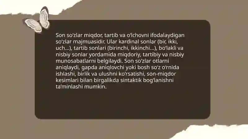 Son so'z turkumlari 3