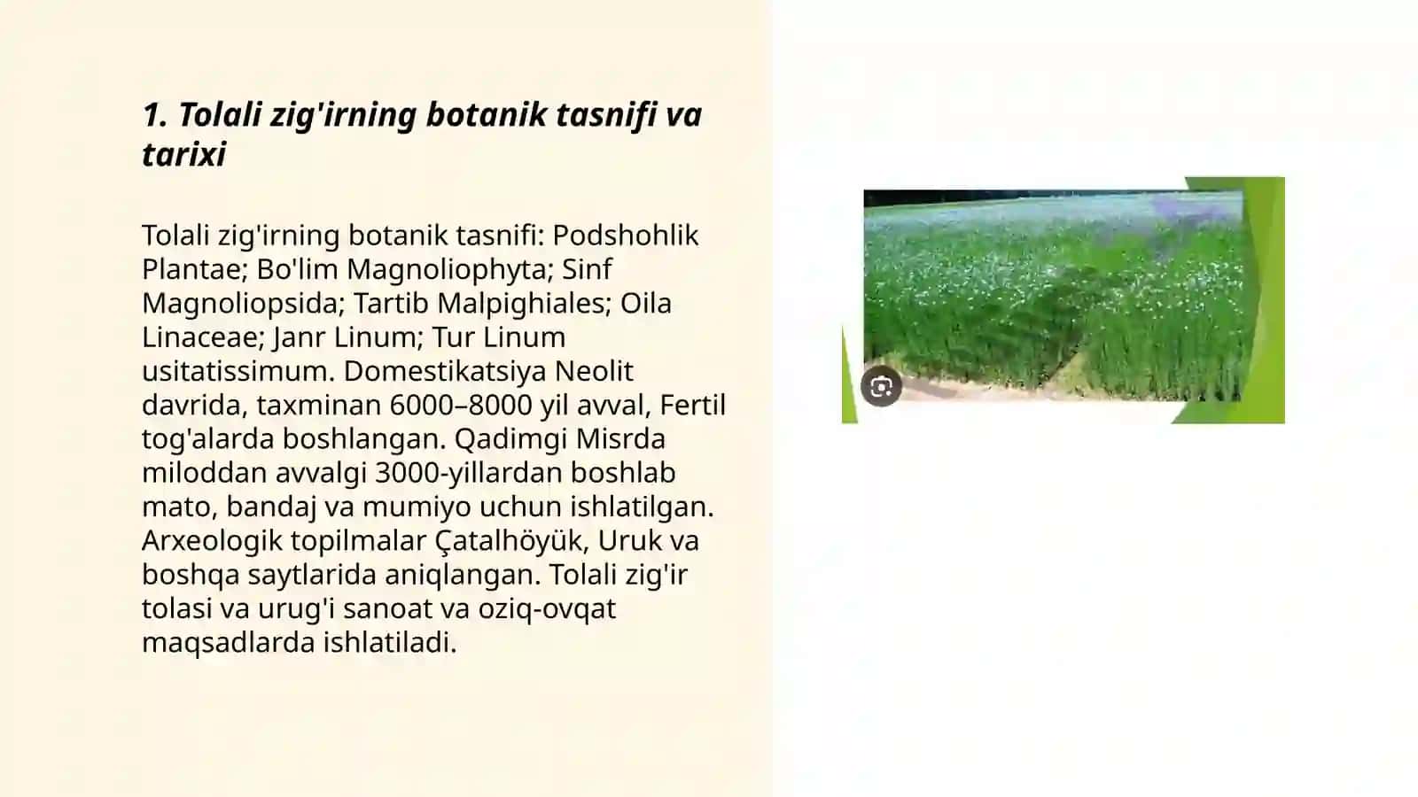 Tolali zig'ir biologiyasi va yetishtirish texnologiyasi 3