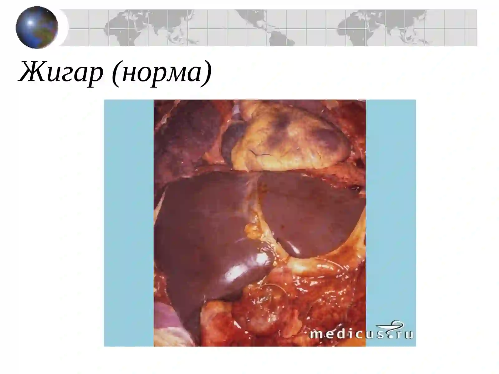 СУРУНКАЛИ ГЕПАТИТ 3
