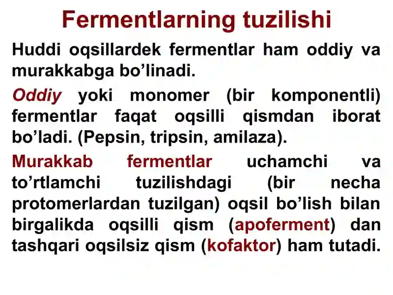 Fermentlar 3