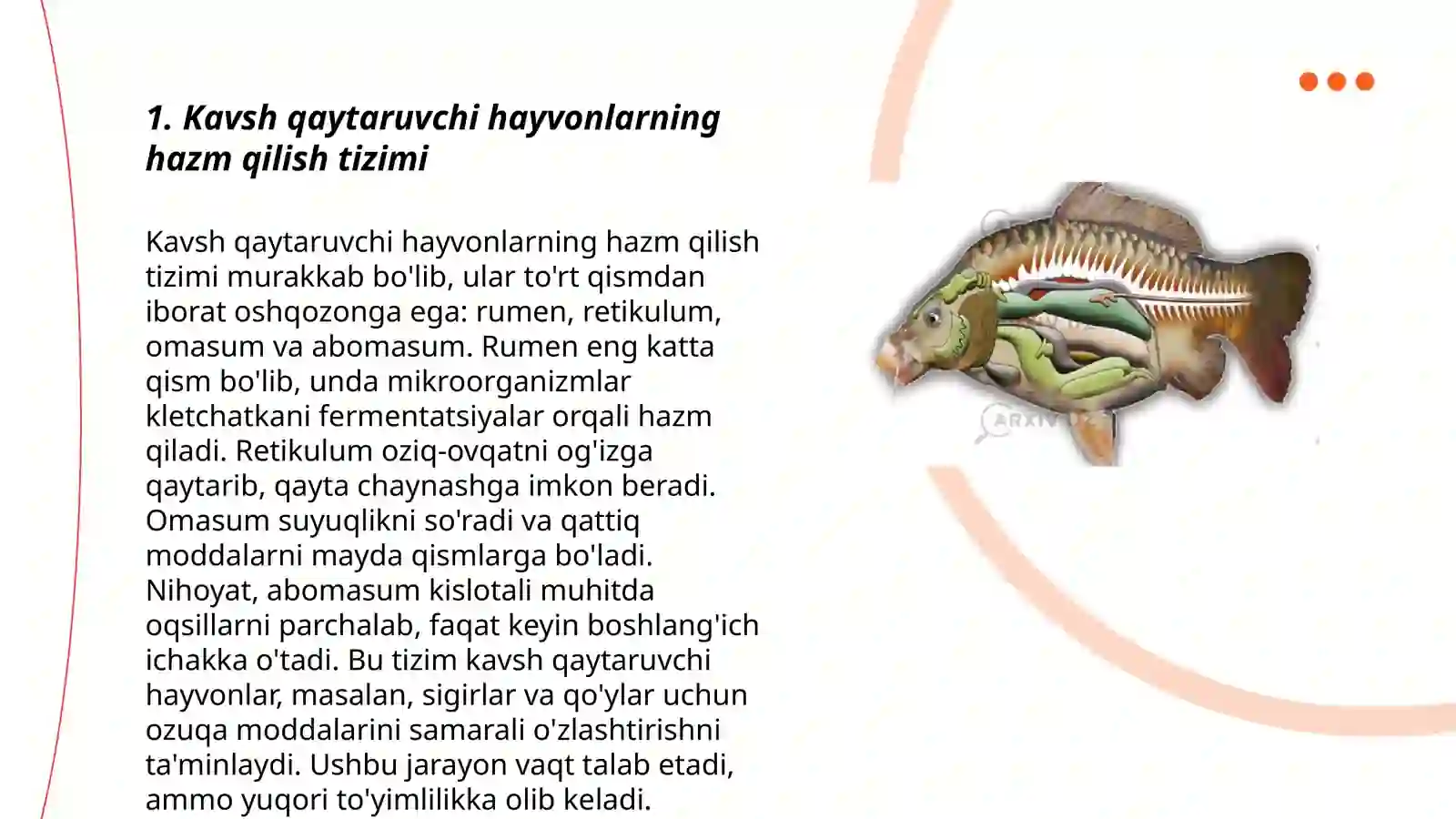Kavsh qaytaruvchi hayvonlarni ozuqasini hazm boʻlishi 3