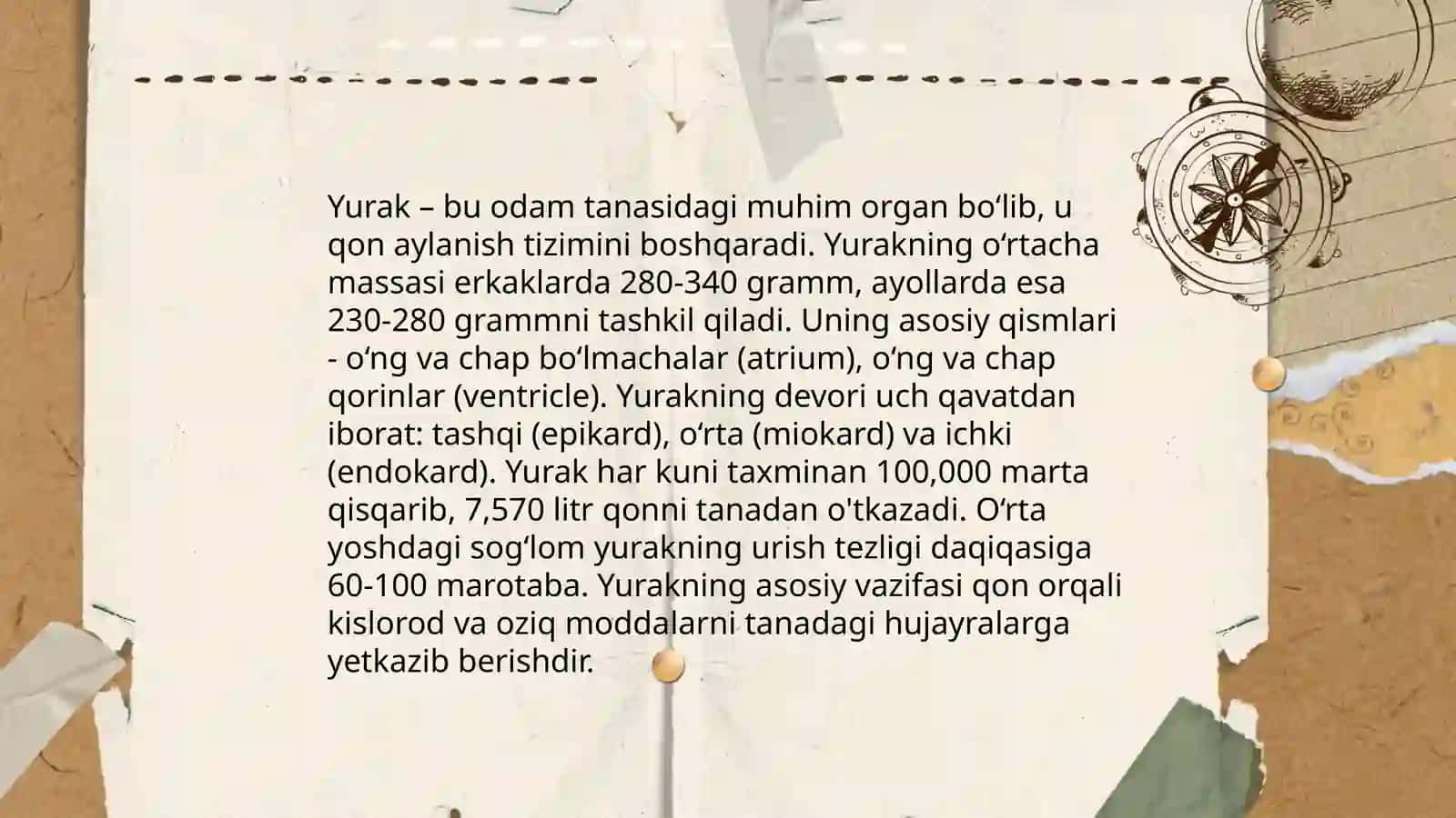 Yurak fiziologiyasi 3